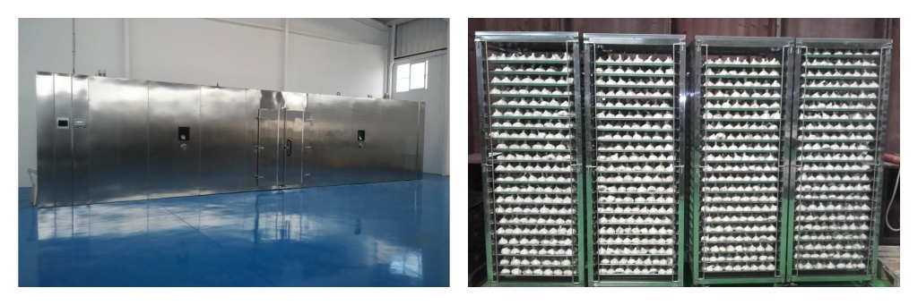 3000kgs black garlic machine