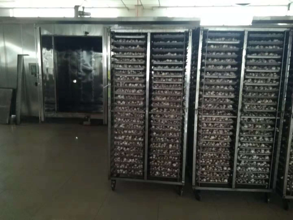 black garlic machine 2500kgs