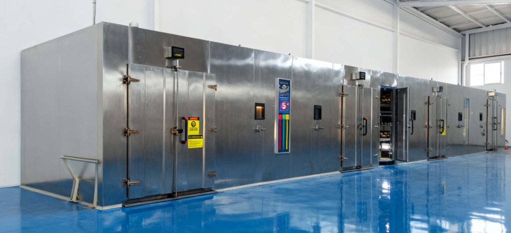 black garlic machine